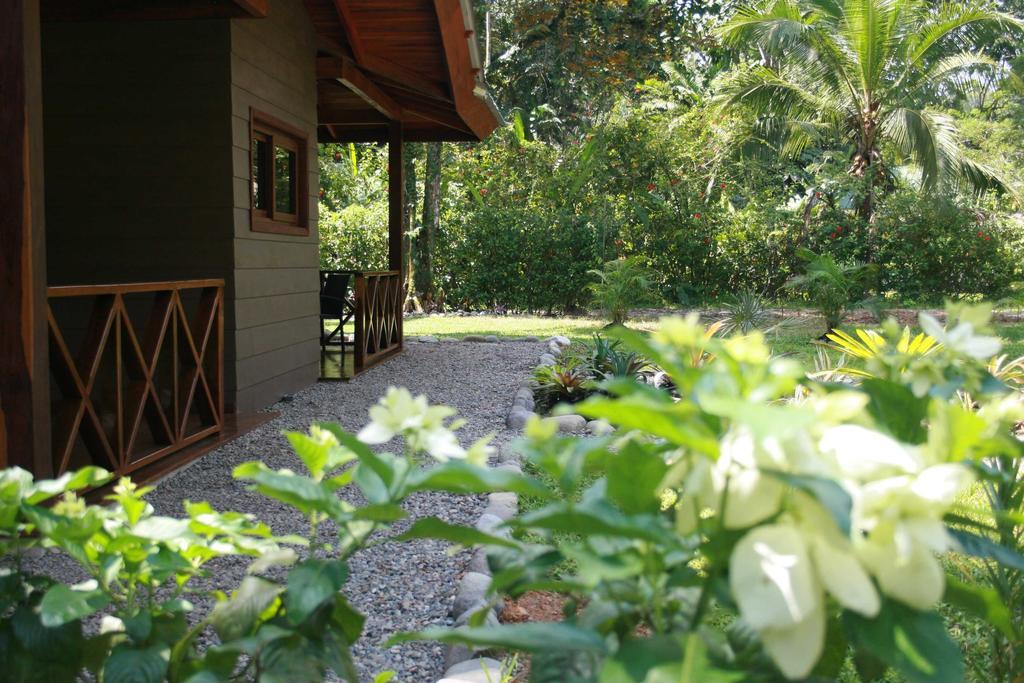 Oasi Apartment Cahuita Exterior photo